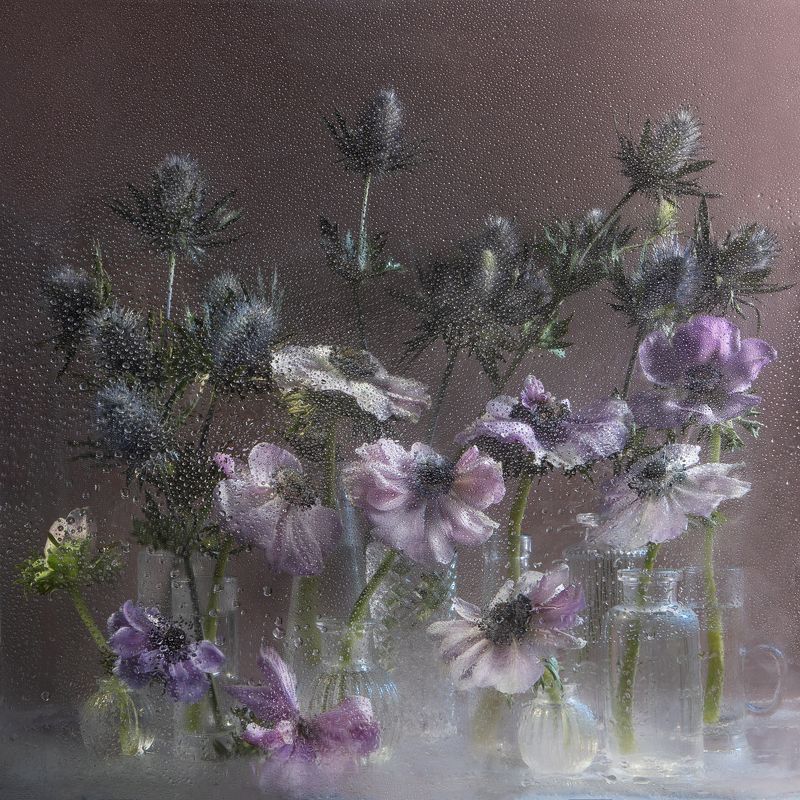 анемоны, колючки, букет, составление букета, натюрморт, банки, стеклянная посуда, стекло, брызги, за стеклом, сиреневый, Анемоны и эрингиум.photo preview