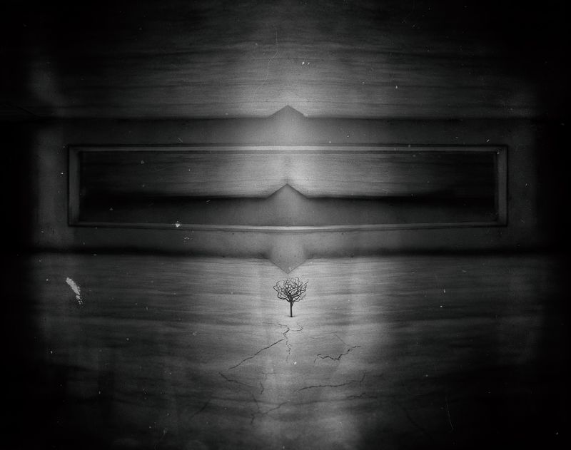 fineart, concept, conceptual, photography, photomontage, photomanipulation, platform, art, darkart, blackandwhite, bnw, Iran, creative, creativity, visionary, Tree Glitch In Platform photo preview