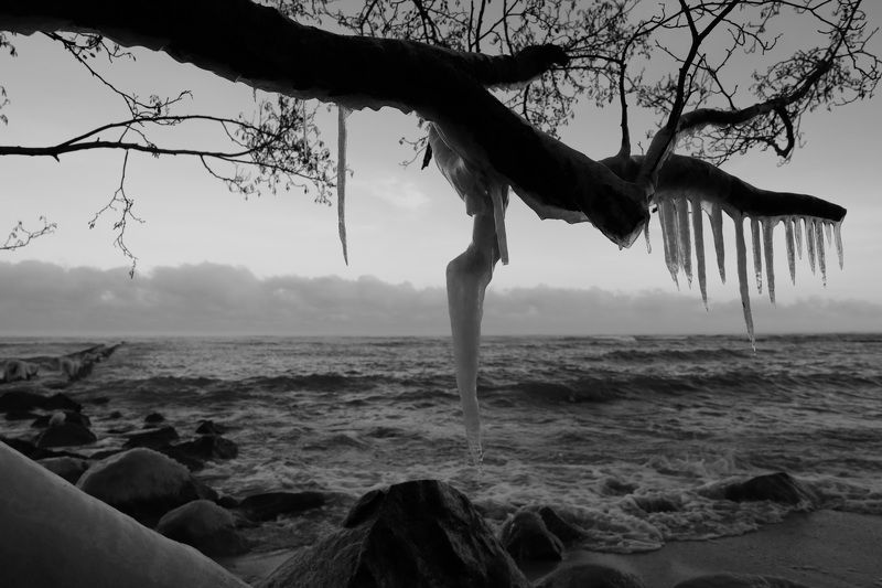 январская Балтикаphoto preview