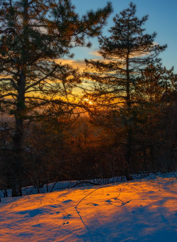 зима,закат,пейзаж Зимний этюдphoto preview