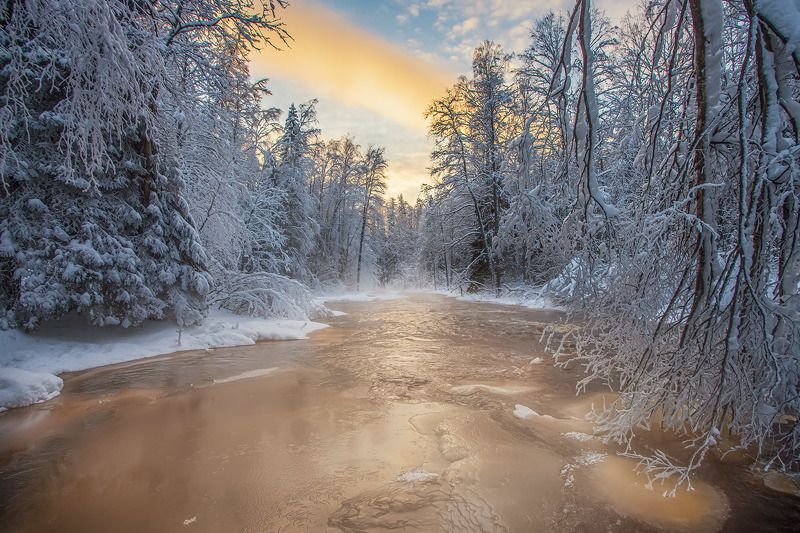 Линдуловская роща . -25photo preview