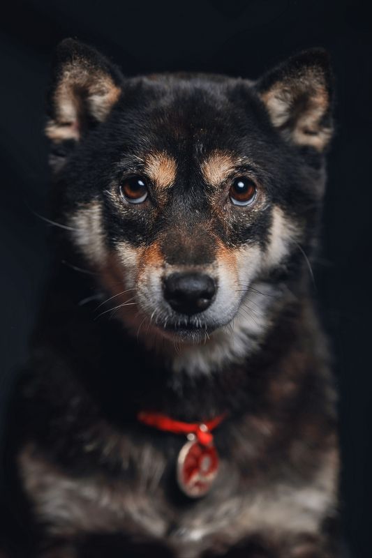 Они такие, какие есть! Они не придуманные! Они родные!photo preview