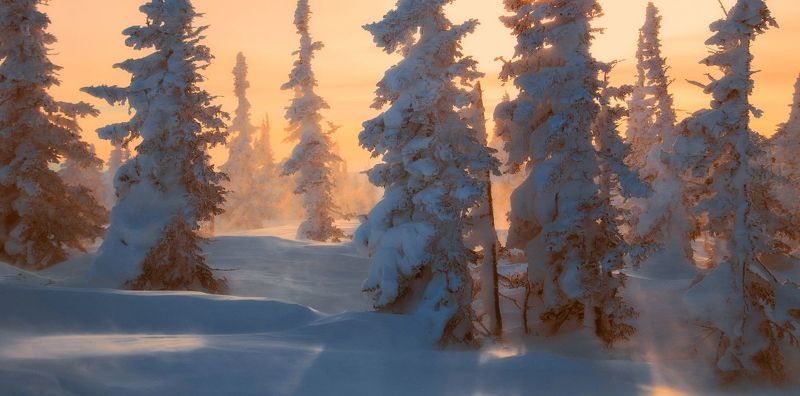 шерегеш, сибирь, кузбасс, мороз, сугробы, закат, природа, горы, лес, пейзаж Метель, мороз, снег... фото превью