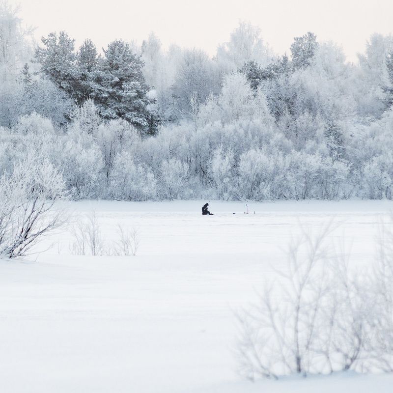 пейзаж, природа, зима, снег, лес photo preview