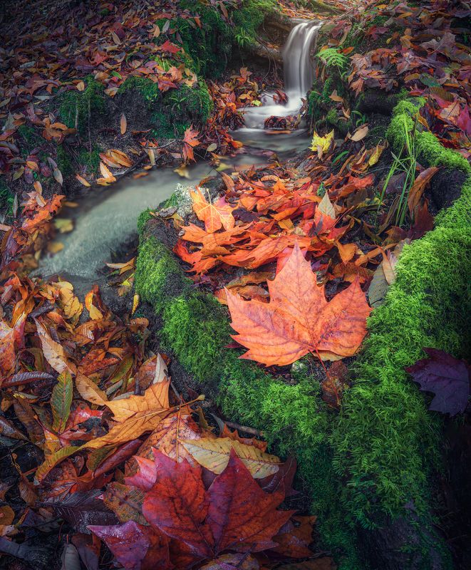 Francisco Crusat photo galleryphoto preview