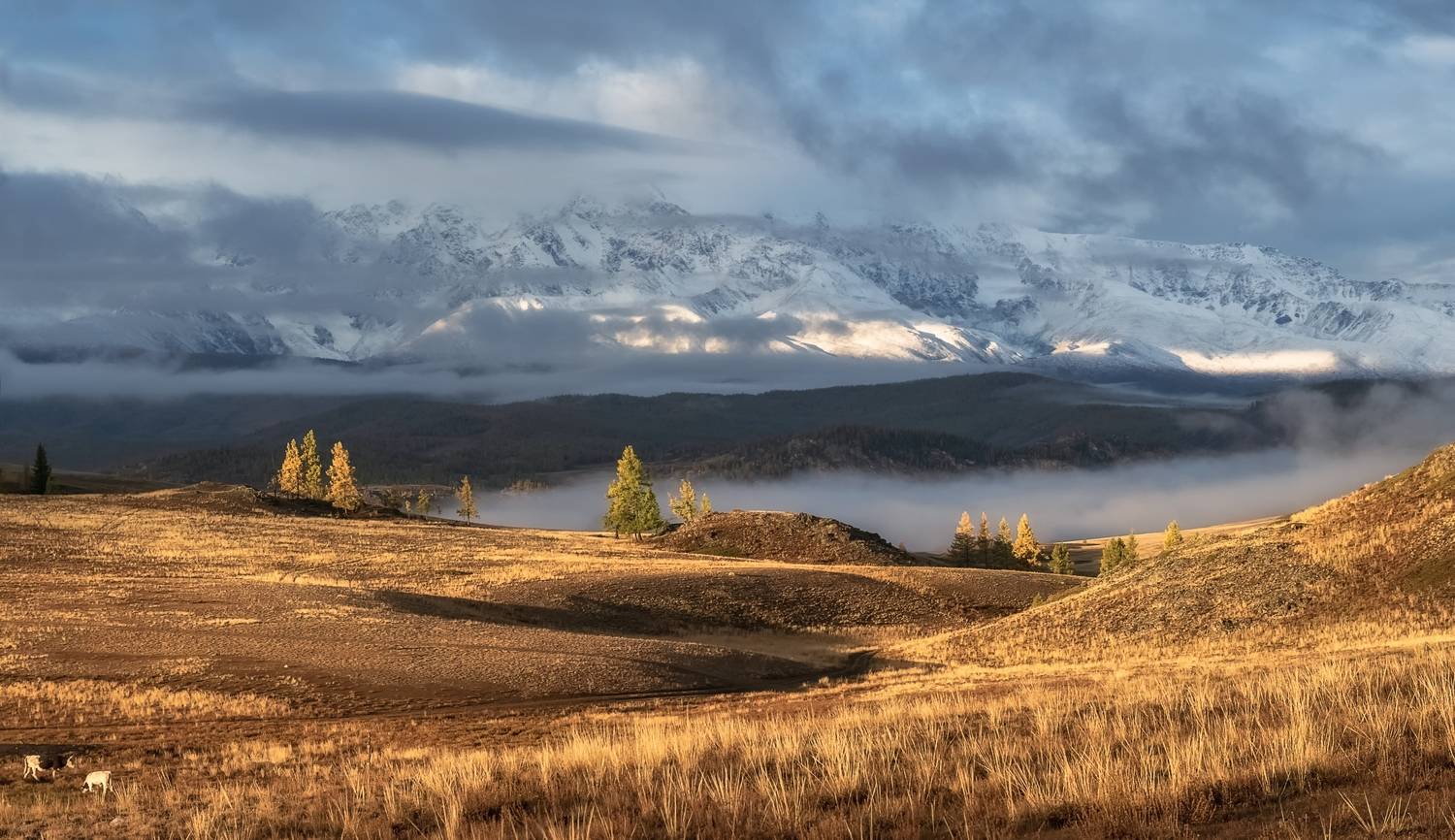 алтай, дождь, солнце, горы, крайская степь, лиственницы, Фомина Марина
