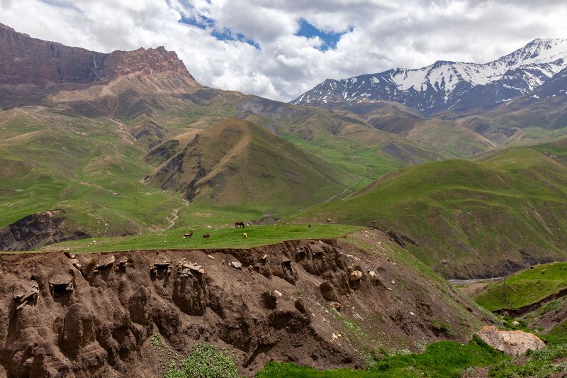 Курушphoto preview