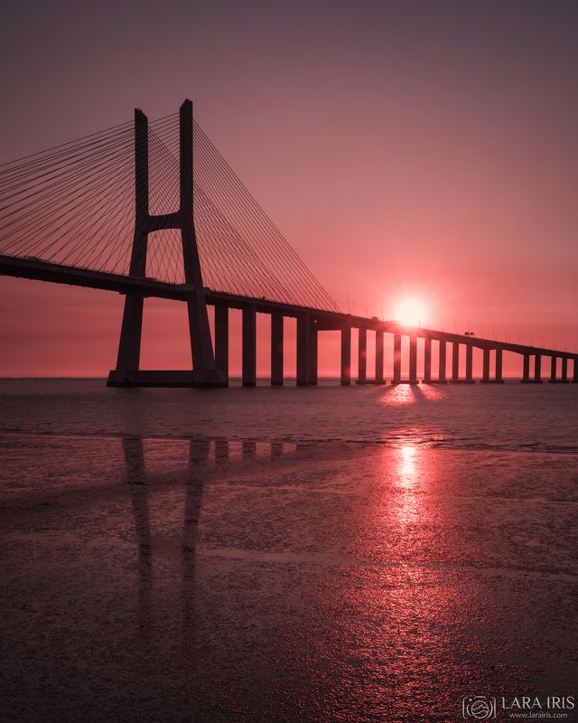 Все в розовомphoto preview