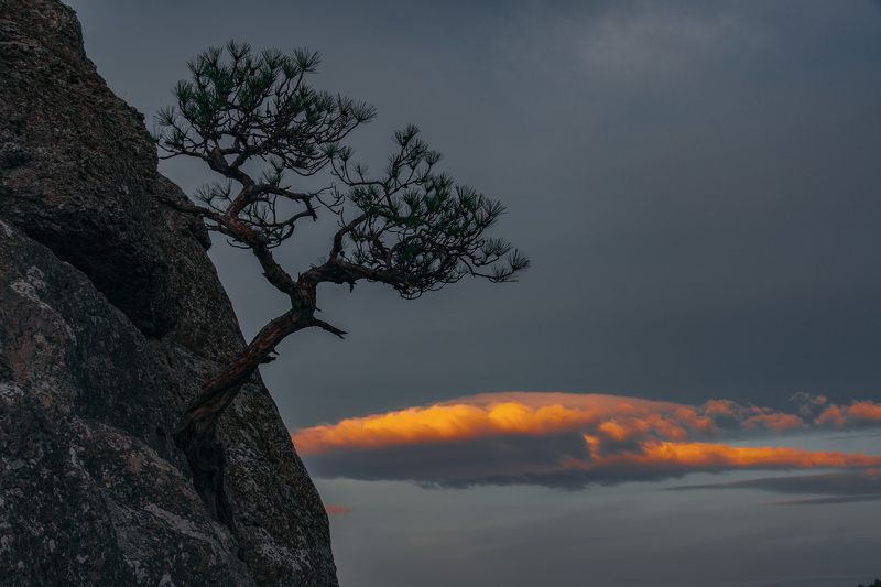 Утро над облакамиphoto preview