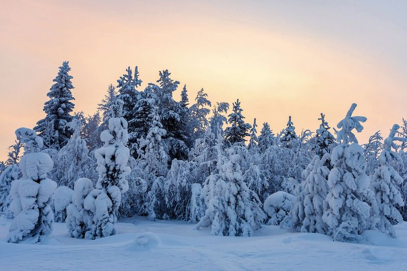 Засыпающее солнце фото превью