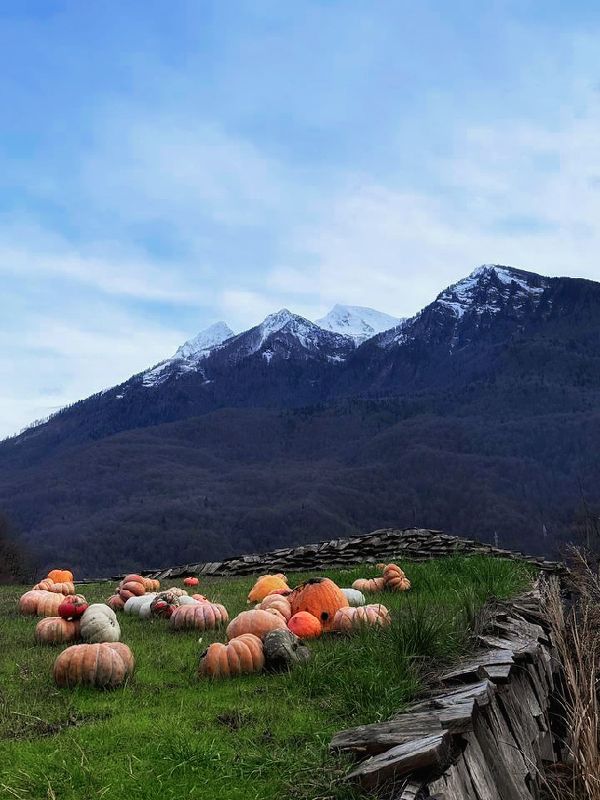 Пейзажный натюрморт.photo preview