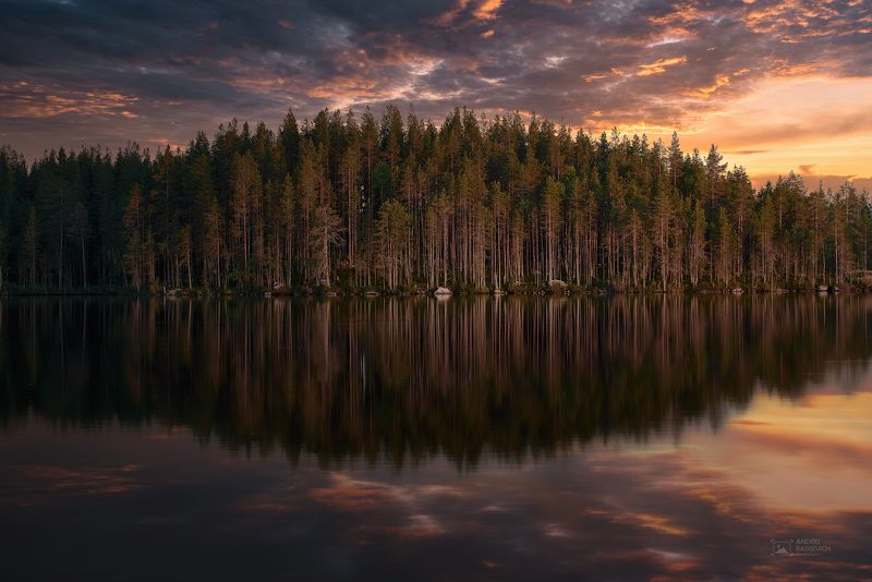 карелия, озеро, отражение, лес photo preview