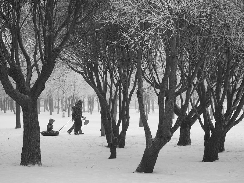 Всей  семьейphoto preview