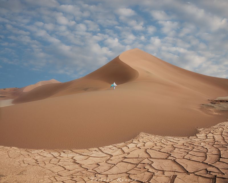 В песках пустыниphoto preview