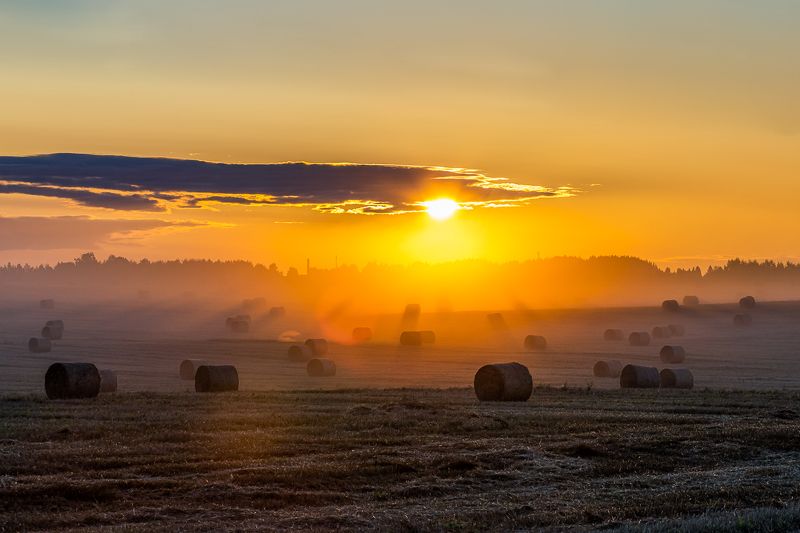утро, солнце, восход, туман, тепло, ярко, горизонт, стог, сено, поле, прохлада, путь, осень, лето Летнее утроphoto preview