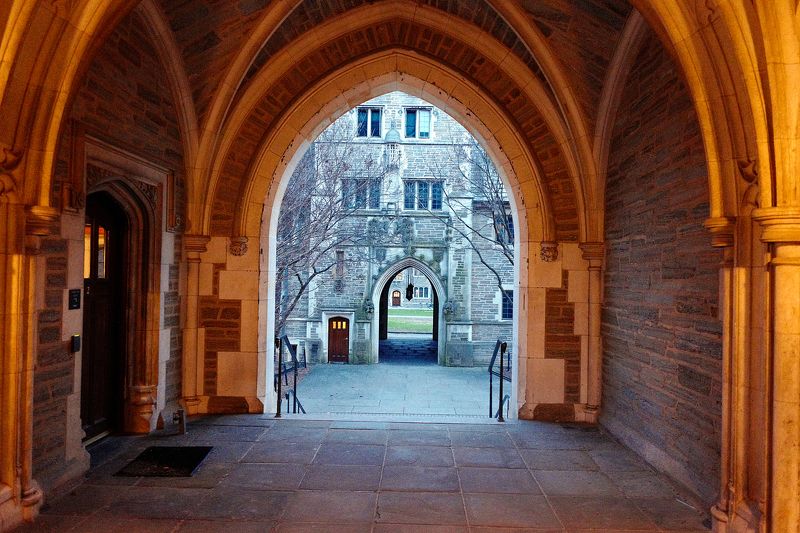 городская перспектива Энштейны на каникулахphoto preview