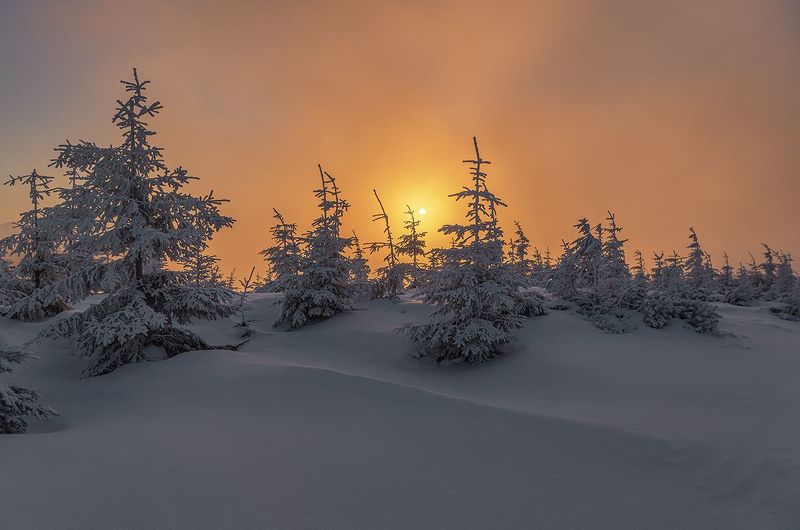 O porankuphoto preview