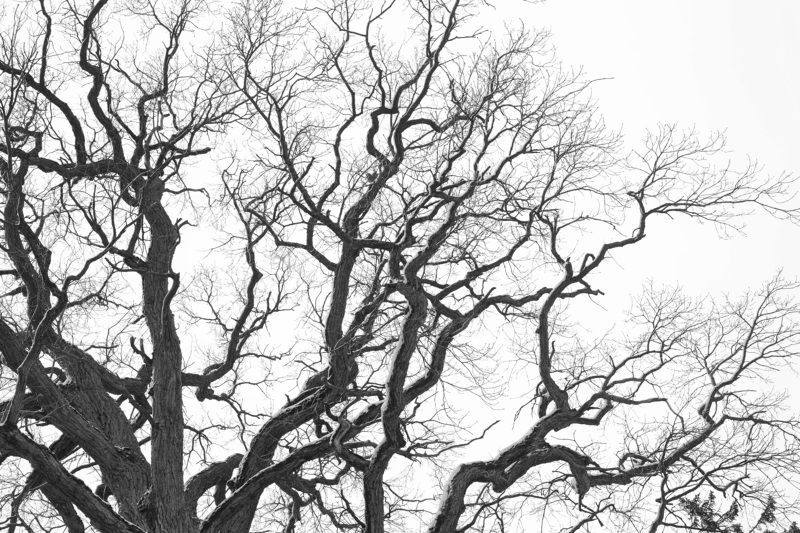 Автографphoto preview