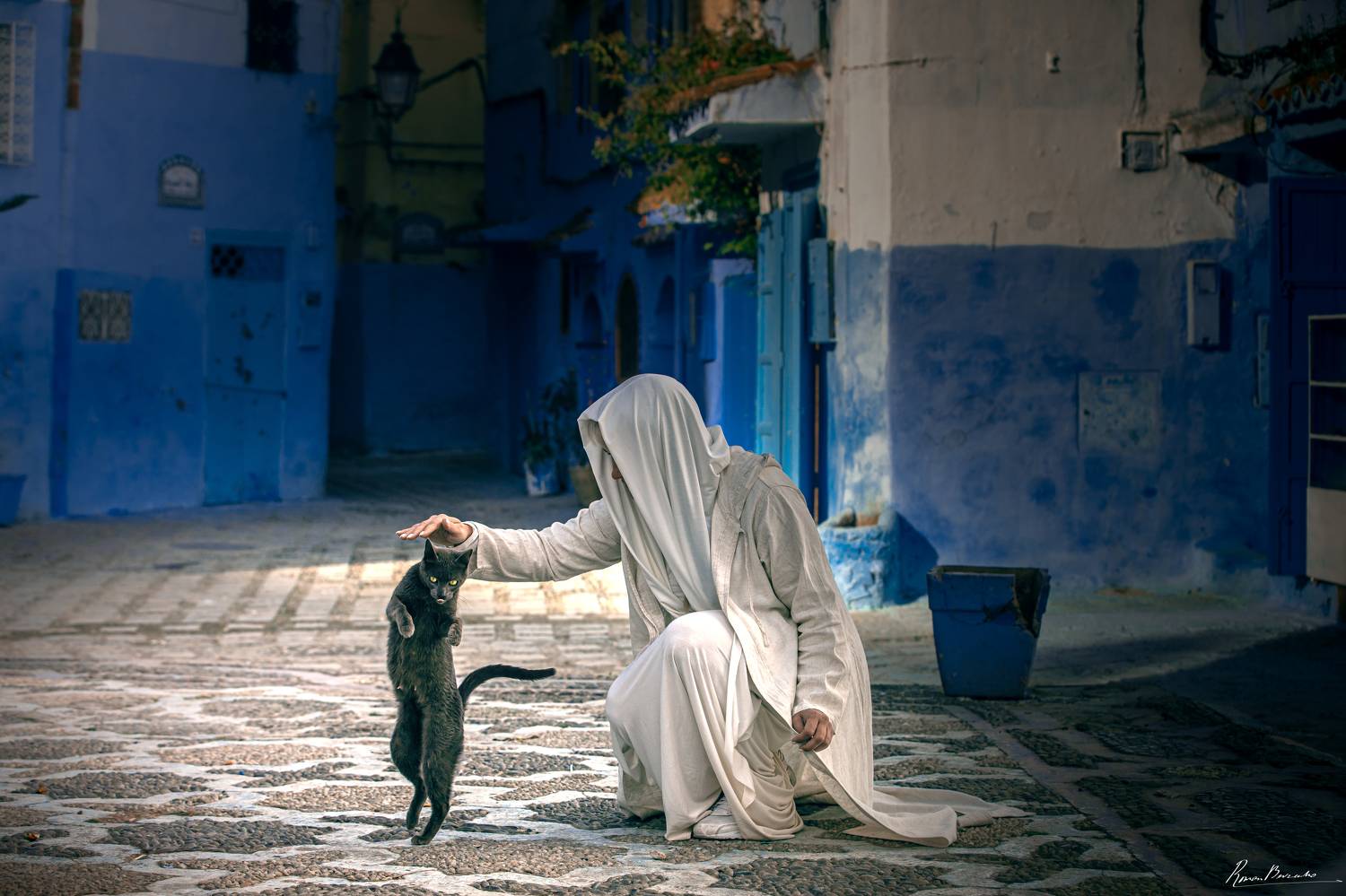 Game of Cats. Автор: Bevzenko Roman cat, cats, woman, lady, city, town, street, morocco, chefchaouen, Bevzenko Roman
