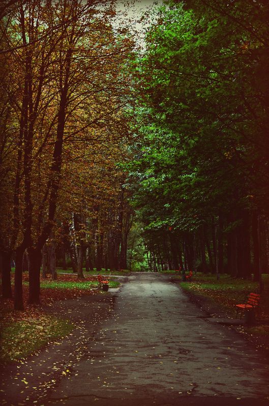 Катя, Ukraine