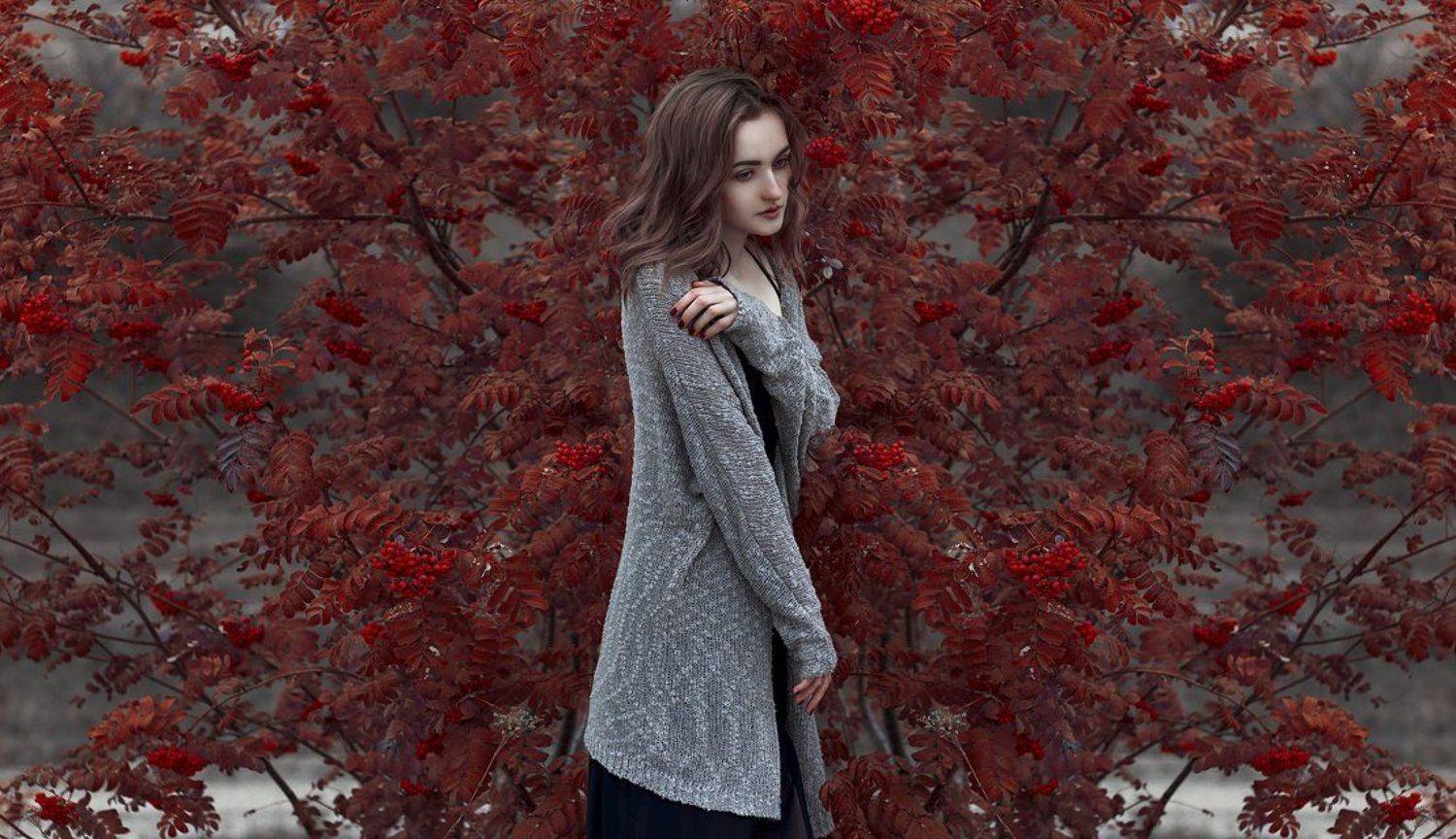 Вика. Автор: Меркулов Антон , Меркулов Антон