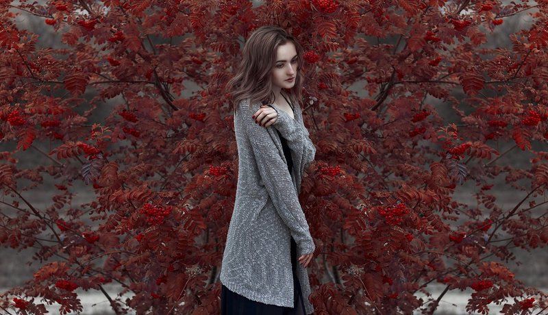 Викаphoto preview