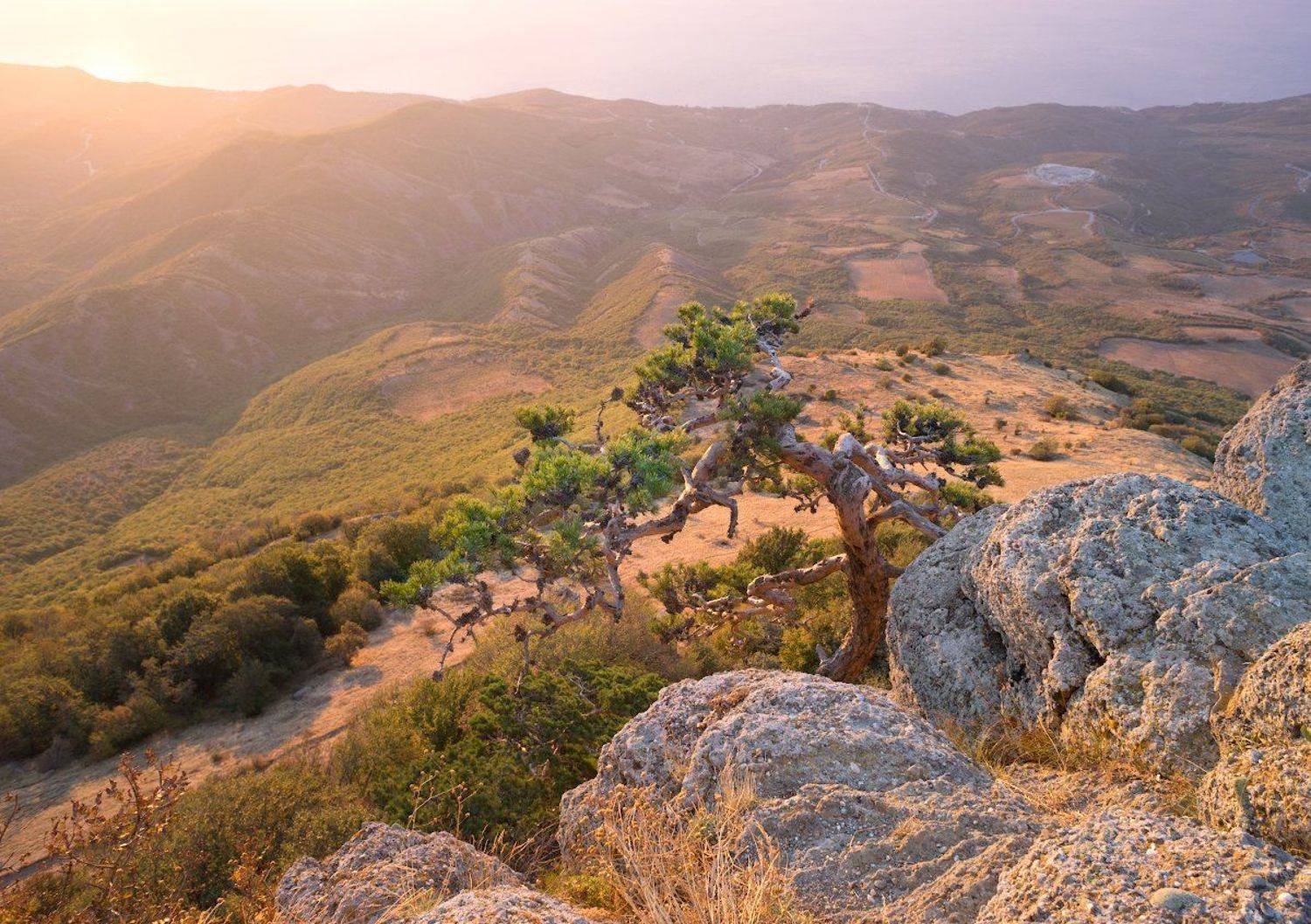 Дыхание света. Автор: Пеккер Сергей Sony, Гора, Демерджи, Камни, Крым, Рассвет, Свет, Тепло, Утро, Пеккер Сергей