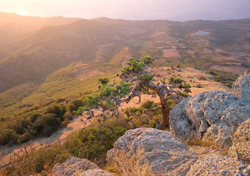 Sony, Гора, Демерджи, Камни, Крым, Рассвет, Свет, Тепло, Утро Дыхание светаphoto preview