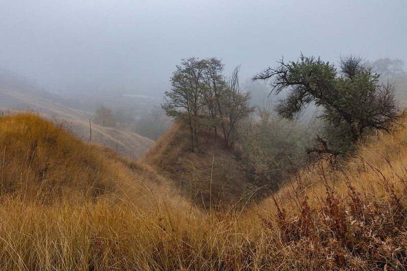 Осенние туманыphoto preview