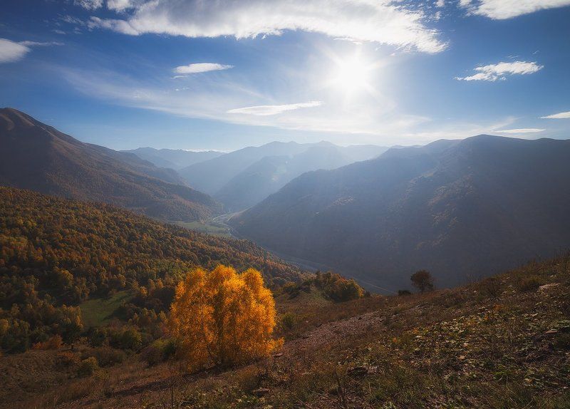 Золотая осеньphoto preview