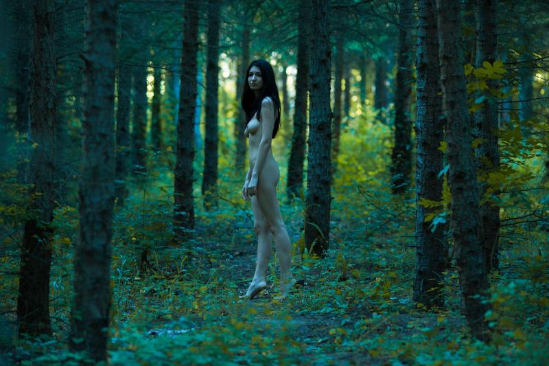 Back to naturephoto preview