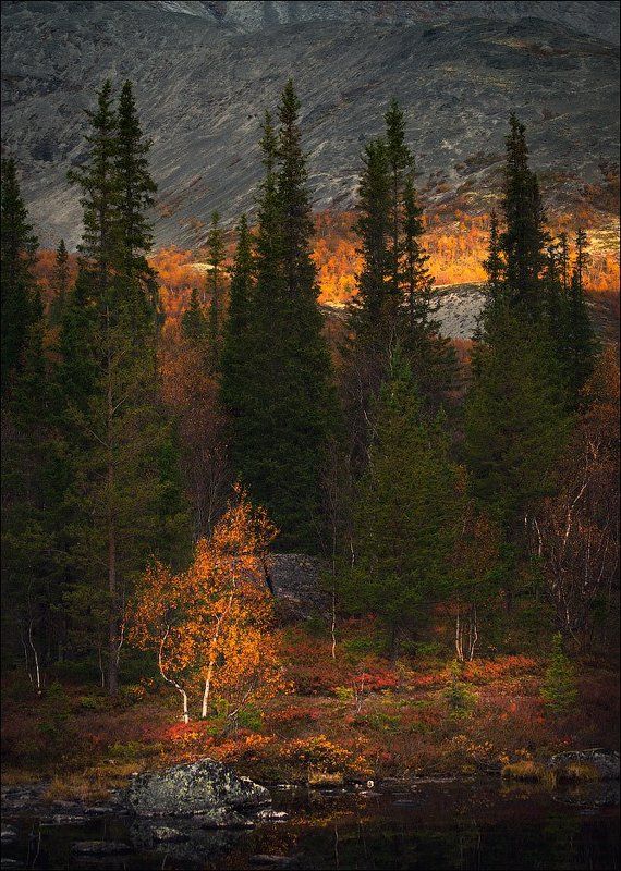 Хибины, осень, горы Акварель осени.photo preview