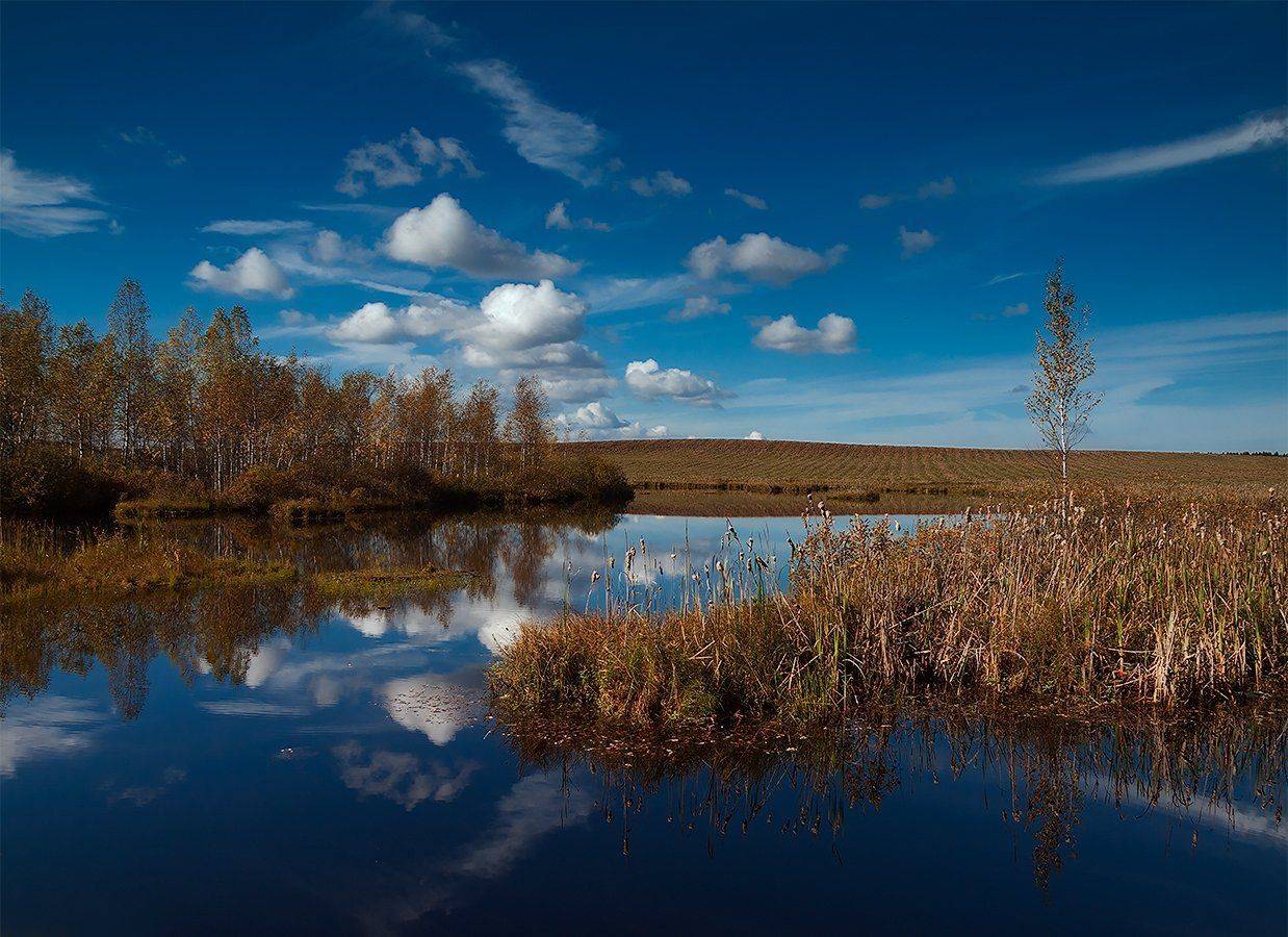***. Автор: Владимир Перепечаев , Владимир Перепечаев