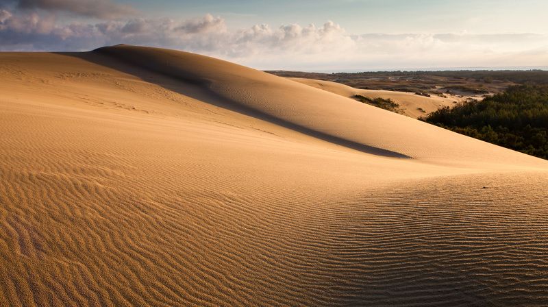 Дюны Куршской косыphoto preview