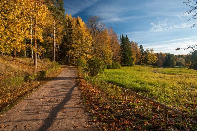 Павловский парк октябрь ***photo preview