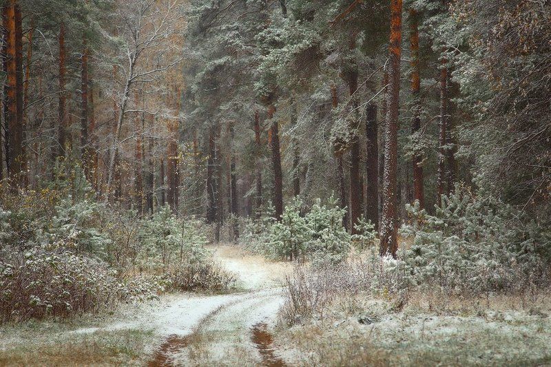 юпитер, 37-а, , 135, мм О первом снегеphoto preview