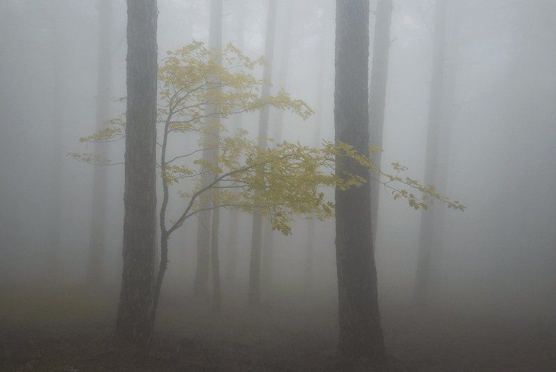 Фата-Моргана...photo preview