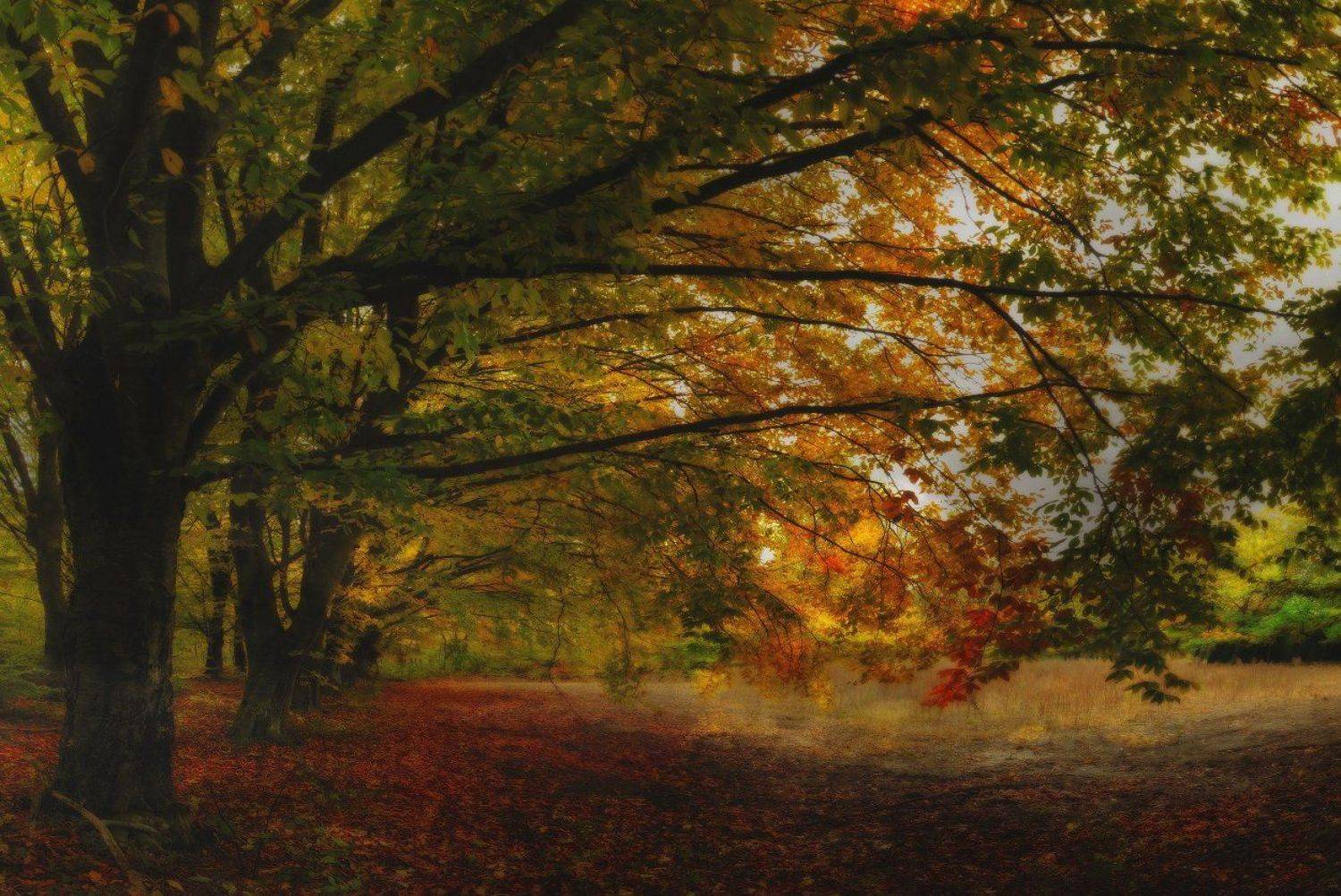 , Михаил  Пилипенко