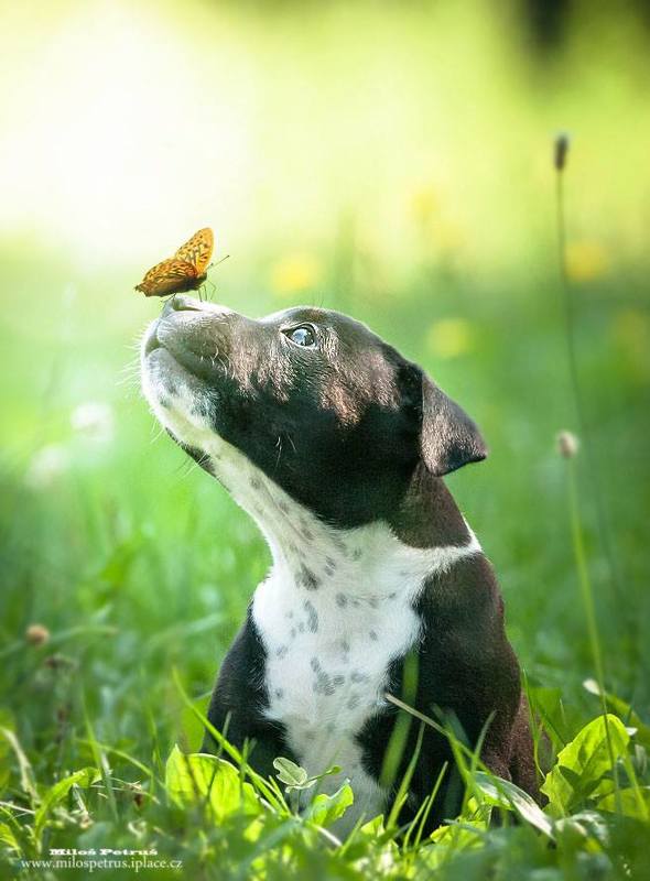 Новый другphoto preview