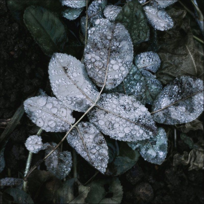 Блеск и сияниеphoto preview