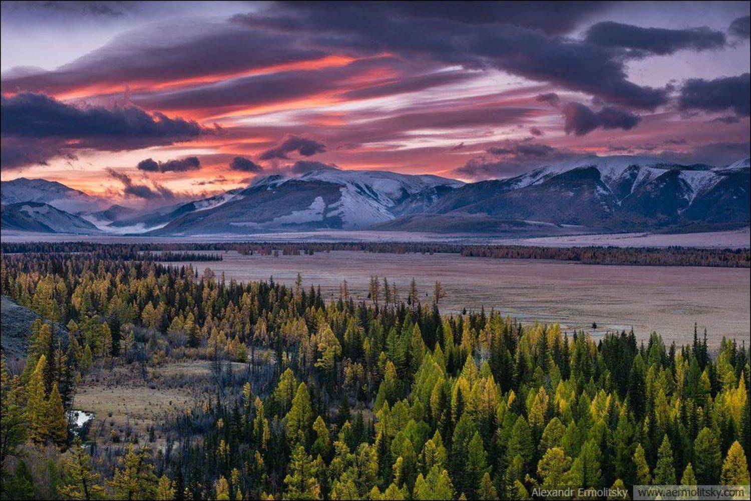 Altai, Алтай, Александр Ермолицкий