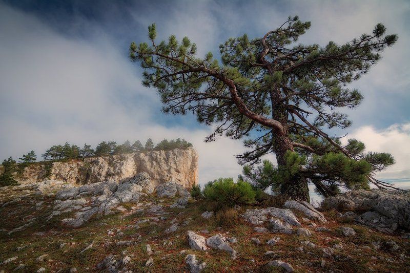 ай-петри, крым Склоны Ай-Петриphoto preview