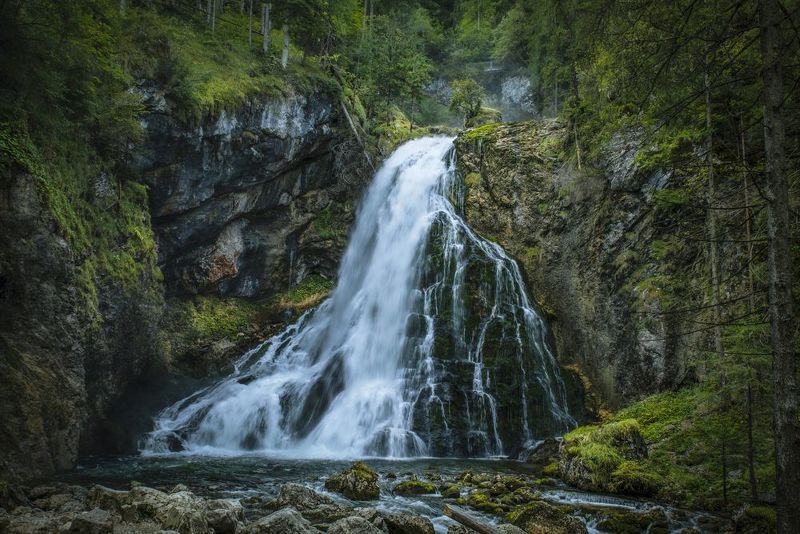 водопад, лес, вода, деревья. Golling Waterfall фото превью