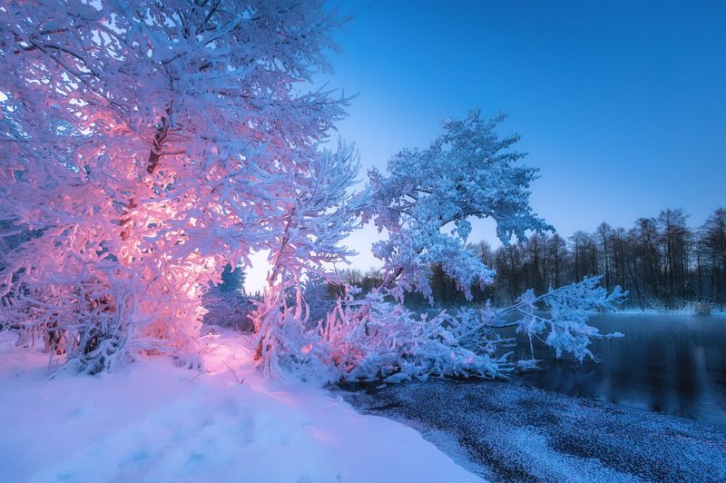 шатура, иней, мороз, ночь, подсветка Теплый огонекphoto preview