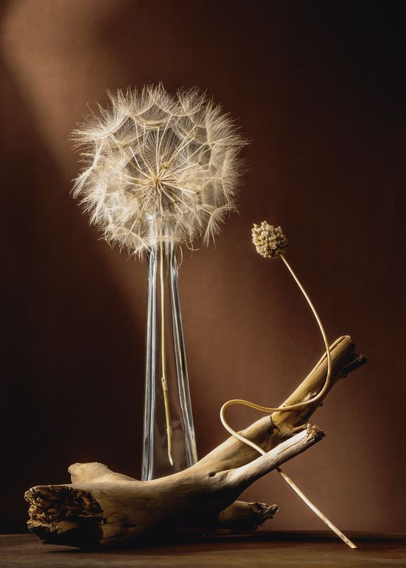 art, design, objects, light, standing, studio, still life,  photo preview