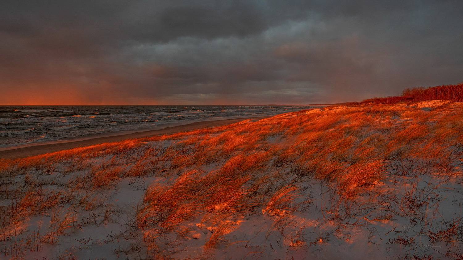 , Олег Иванов