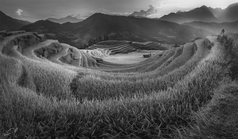 Rice&Icon of Vietnamphoto preview