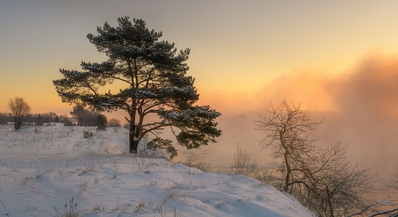 псков, пейзаж, Просто утроphoto preview