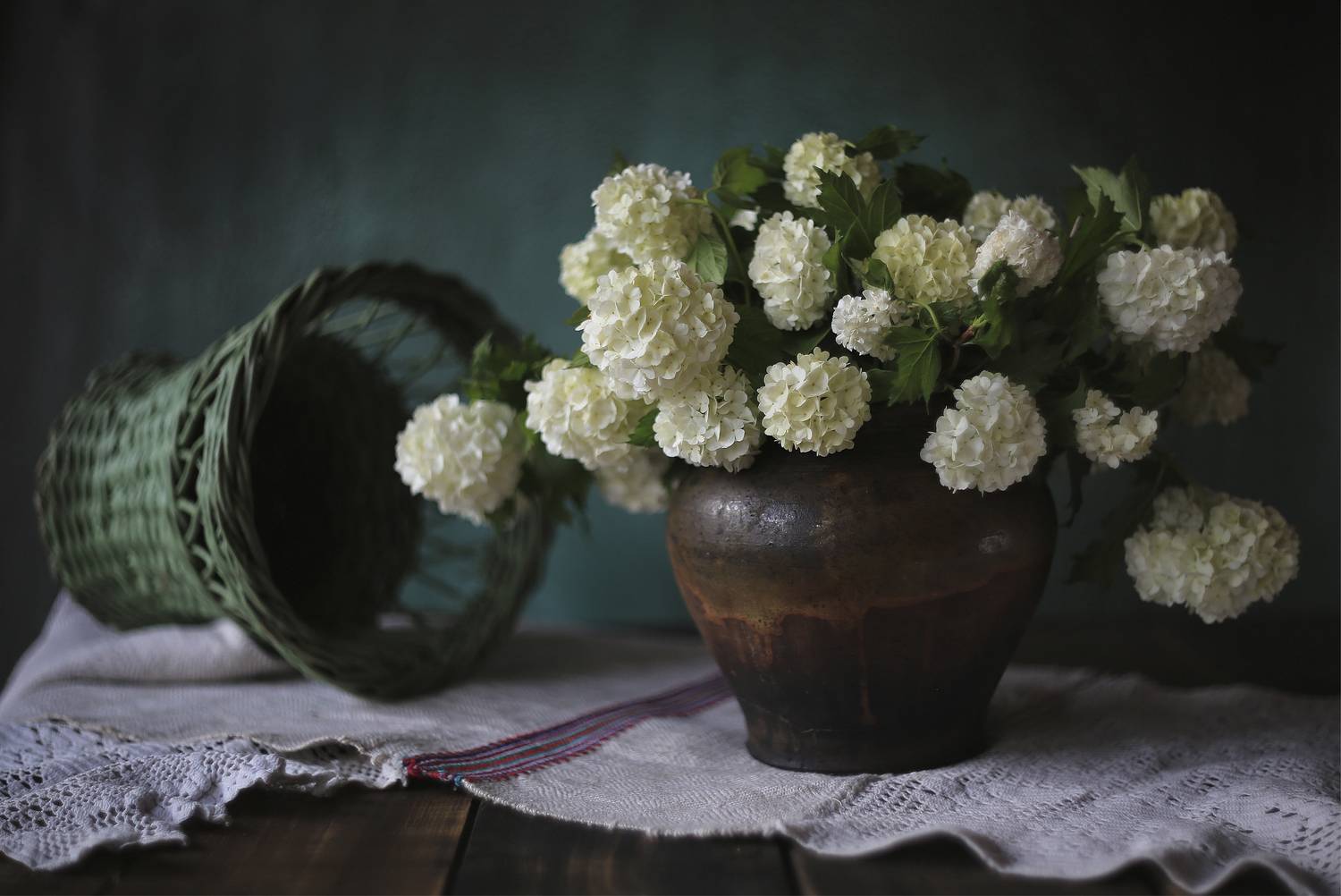 Калина букет натюрморт Stilllife canon, Alena Gershfeld