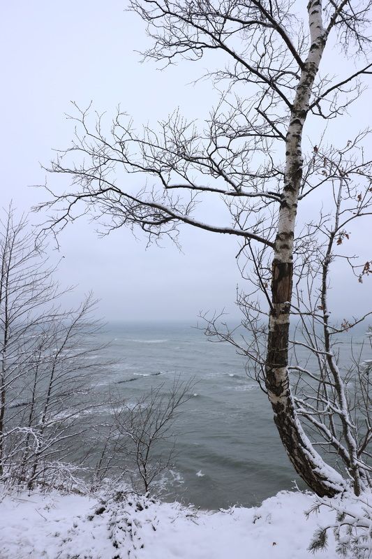 Побережье Балтики photo preview